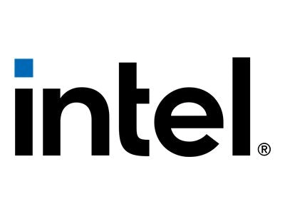 Intel Optane - DDR-T - module - 256 GB - DIMM 288-pin - 2666 MHz / PC4-21300 - 1.2 V - for P/N: UCSX-210C-M6-U, UCSX-210C-M6-U-BDL, UCSX-MP-256GS-B0=