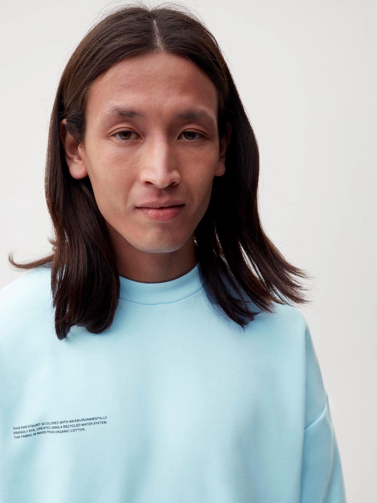 Mens 365 Heavyweight Sweatshirt—celestial blue