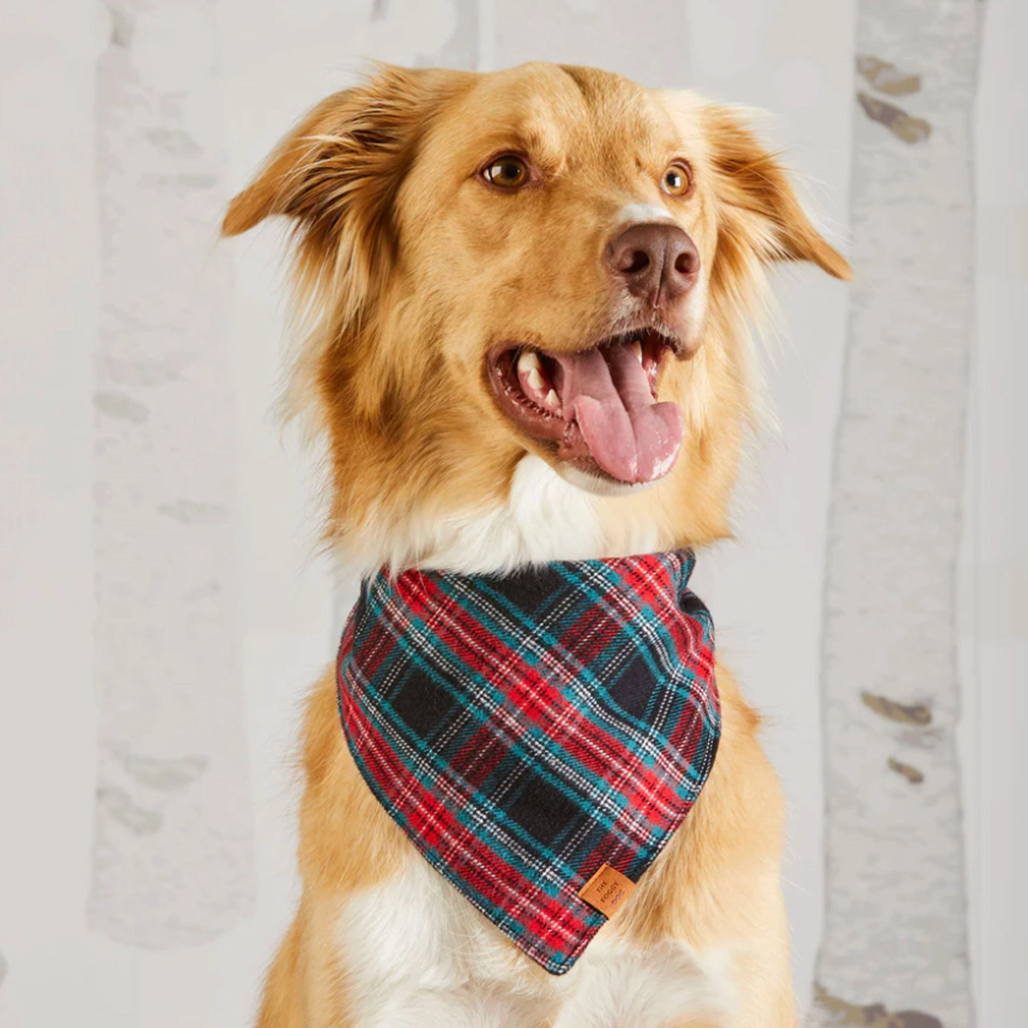The Foggy Dog Bandana - Georgia Plaid